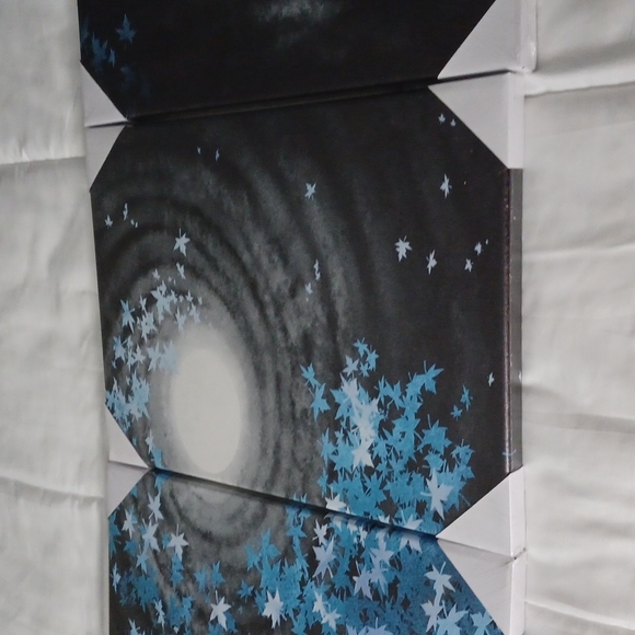 Three piece canvas frame art - Picture 3 of 7